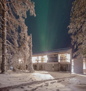 Aavalevi Frozen Chalet